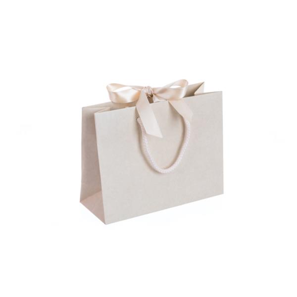 gift ribbon paper bag for gift